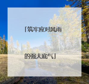 筑牢应对风雨的强大底气