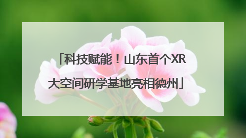 科技赋能！山东首个XR大空间研学基地亮相德州