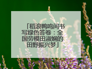 稻浪鸭鸣间书写绿色答卷：全国劳模田淑娴的田野振兴梦