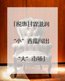 税惠甘霖滋润“小”香瓜闯出“大”市场