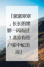 窸窸窣窣，长长的黑影一闪而过！北京有住户家中蛇出没