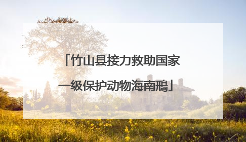 竹山县接力救助国家一级保护动物海南鳽