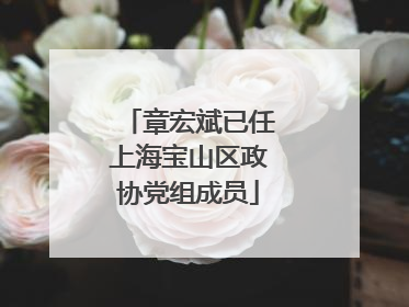 章宏斌已任上海宝山区政协党组成员