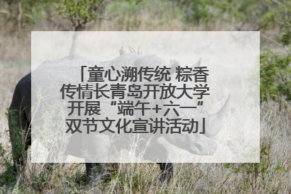 童心溯传统 粽香传情长青岛开放大学开展“端午+六一”双节文化宣讲活动
