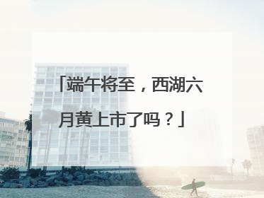 端午将至，西湖六月黄上市了吗？