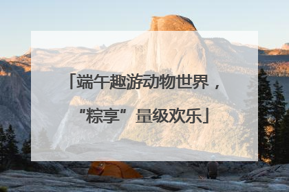 端午趣游动物世界，“粽享”量级欢乐