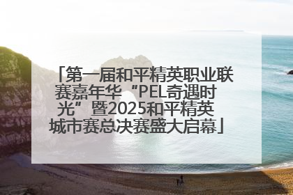 第一届和平精英职业联赛嘉年华“PEL奇遇时光”暨2025和平精英城市赛总决赛盛大启幕