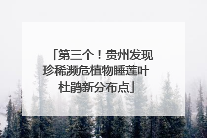第三个！贵州发现珍稀濒危植物睡莲叶杜鹃新分布点