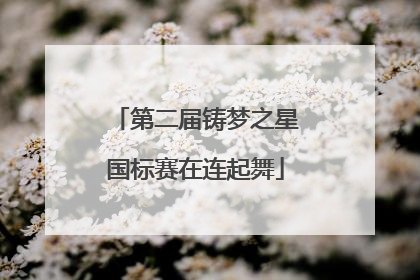 第二届铸梦之星国标赛在连起舞