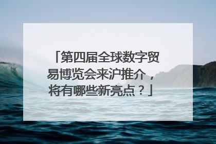 第四届全球数字贸易博览会来沪推介，将有哪些新亮点？
