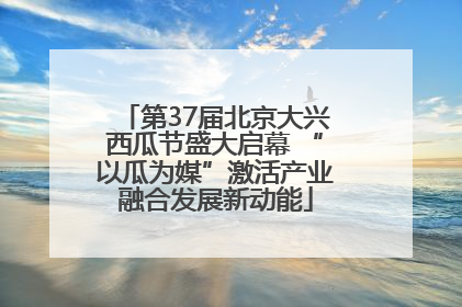 第37届北京大兴西瓜节盛大启幕 “以瓜为媒”激活产业融合发展新动能