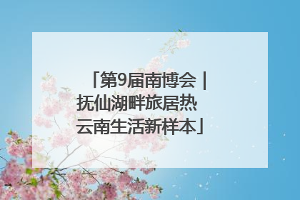 第9届南博会｜抚仙湖畔旅居热 云南生活新样本