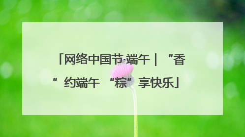 网络中国节·端午｜“香”约端午 “粽”享快乐