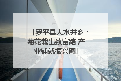 罗平县大水井乡：菊花栽出致富路 产业铺就振兴图