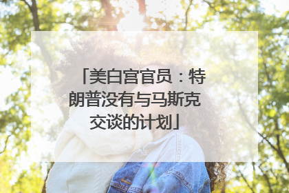美白宫官员：特朗普没有与马斯克交谈的计划