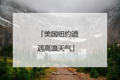 美国纽约遭遇高温天气