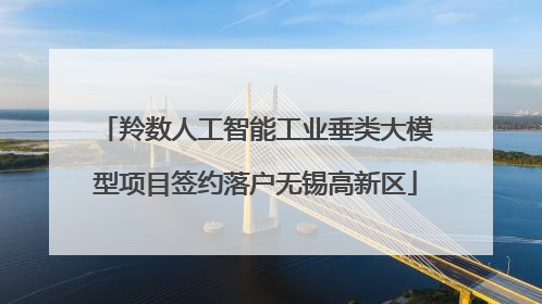 羚数人工智能工业垂类大模型项目签约落户无锡高新区
