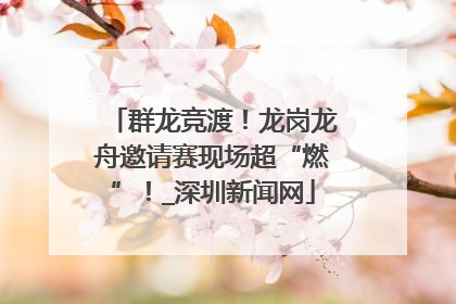 群龙竞渡！龙岗龙舟邀请赛现场超“燃”！_深圳新闻网