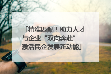 精准匹配！助力人才与企业“双向奔赴” 激活民企发展新动能