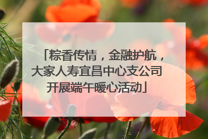 粽香传情，金融护航，大家人寿宜昌中心支公司开展端午暖心活动