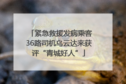 紧急救援发病乘客 36路司机乌云达来获评“青城好人”