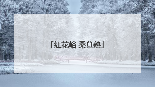红花峪 桑葚熟
