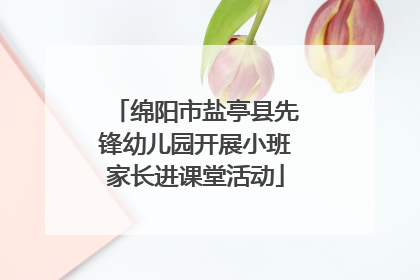 绵阳市盐亭县先锋幼儿园开展小班家长进课堂活动