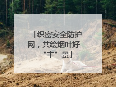 织密安全防护网，共绘烟叶好“丰”景