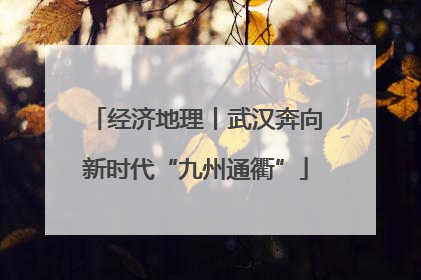 经济地理丨武汉奔向新时代“九州通衢”