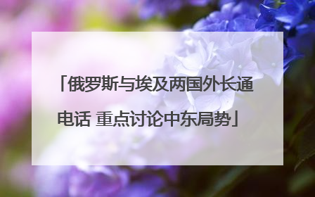 俄罗斯与埃及两国外长通电话 重点讨论中东局势