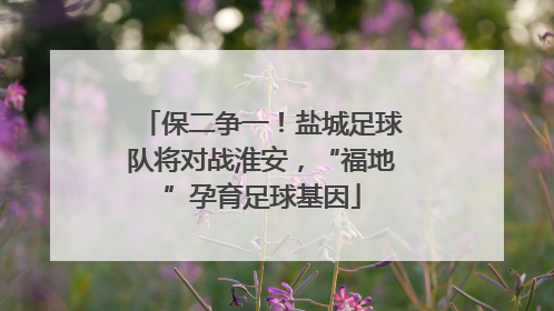 保二争一！盐城足球队将对战淮安，“福地”孕育足球基因