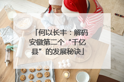 何以长丰：解码安徽第二个“千亿县”的发展秘诀