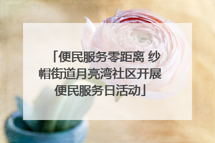 便民服务零距离 纱帽街道月亮湾社区开展便民服务日活动