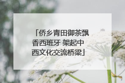 侨乡青田御茶飘香西班牙 架起中西文化交流桥梁