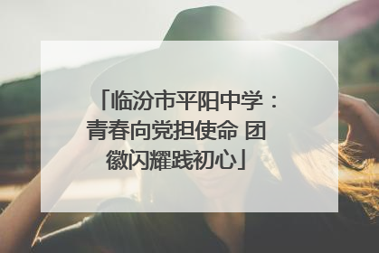 临汾市平阳中学：青春向党担使命 团徽闪耀践初心