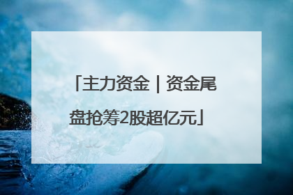 主力资金｜资金尾盘抢筹2股超亿元