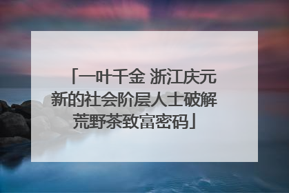一叶千金 浙江庆元新的社会阶层人士破解荒野茶致富密码