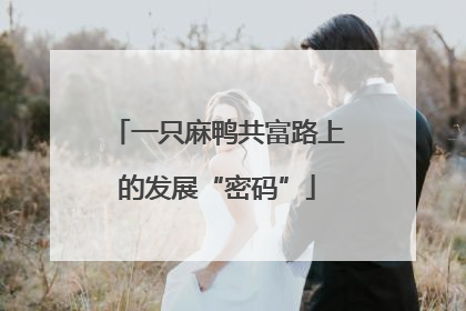 一只麻鸭共富路上的发展“密码”