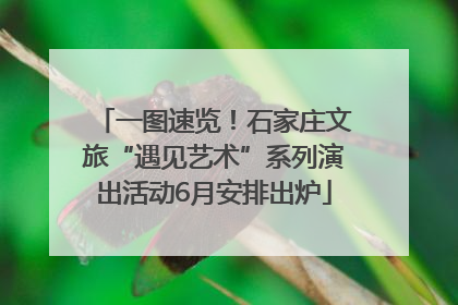 一图速览！石家庄文旅“遇见艺术”系列演出活动6月安排出炉