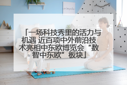 一场科技秀里的活力与机遇 近百项中外前沿技术亮相中东欧博览会“数智中东欧”板块