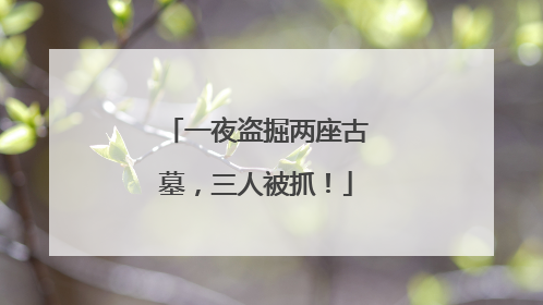 一夜盗掘两座古墓，三人被抓！