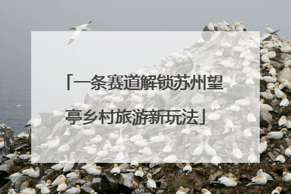 一条赛道解锁苏州望亭乡村旅游新玩法