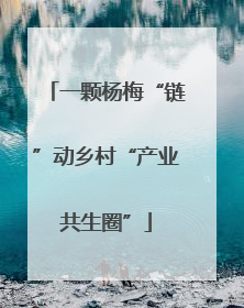 一颗杨梅“链”动乡村“产业共生圈”