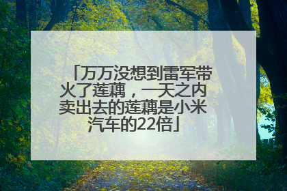 万万没想到雷军带火了莲藕，一天之内卖出去的莲藕是小米汽车的22倍