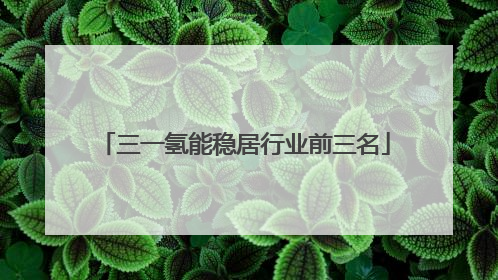 三一氢能稳居行业前三名