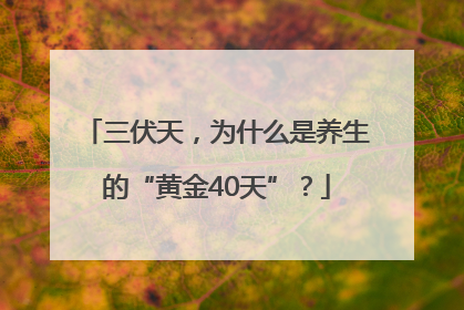 三伏天，为什么是养生的“黄金40天”？