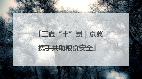 三夏“丰”景｜京冀携手共助粮食安全