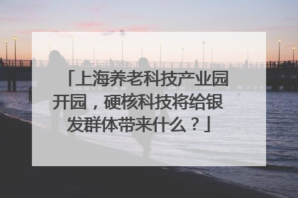 上海养老科技产业园开园，硬核科技将给银发群体带来什么？