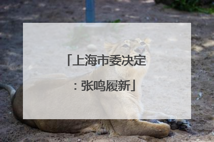 上海市委决定：张鸣履新