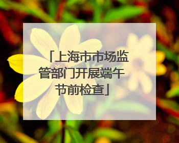 上海市市场监管部门开展端午节前检查